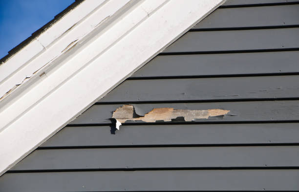 Best Property Management Cleanouts  in Byron Center, MI